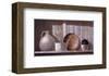 Collectibles-Ray Hendershot-Framed Art Print