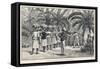 Collecting and Counting Bananas, Jamaica, West Indies-null-Framed Stretched Canvas