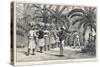 Collecting and Counting Bananas, Jamaica, West Indies-null-Stretched Canvas