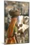 Collecting Camel Dung for Cooking Fires, Pushkar Camel Festival, Rajasthan, India-David Noyes-Mounted Photographic Print