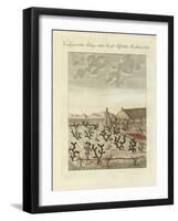 Collecting Cochenilles-null-Framed Giclee Print
