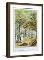 Collecting Cocoa, Venezuela, 1892-null-Framed Giclee Print