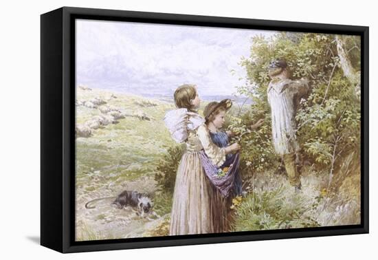 Collecting Flowers-Myles Birket Foster-Framed Stretched Canvas