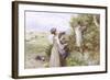 Collecting Flowers-Myles Birket Foster-Framed Giclee Print