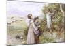 Collecting Flowers-Myles Birket Foster-Mounted Giclee Print