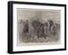 Collecting Forage in South Africa, How the Colonials Manage a Refractory Mule Team-John Charlton-Framed Giclee Print