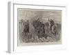 Collecting Forage in South Africa, How the Colonials Manage a Refractory Mule Team-John Charlton-Framed Giclee Print