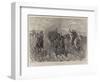 Collecting Forage in South Africa, How the Colonials Manage a Refractory Mule Team-John Charlton-Framed Giclee Print