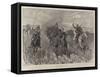 Collecting Forage in South Africa, How the Colonials Manage a Refractory Mule Team-John Charlton-Framed Stretched Canvas