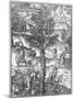 Collecting Incense from Pine Trees from 'Cosmographie Universelle', by Andre De Thevet, 1575-null-Mounted Giclee Print