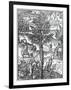 Collecting Incense from Pine Trees from 'Cosmographie Universelle', by Andre De Thevet, 1575-null-Framed Giclee Print