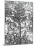 Collecting Incense from Pine Trees from 'Cosmographie Universelle', by Andre De Thevet, 1575-null-Mounted Premium Giclee Print