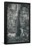 Essential Black
