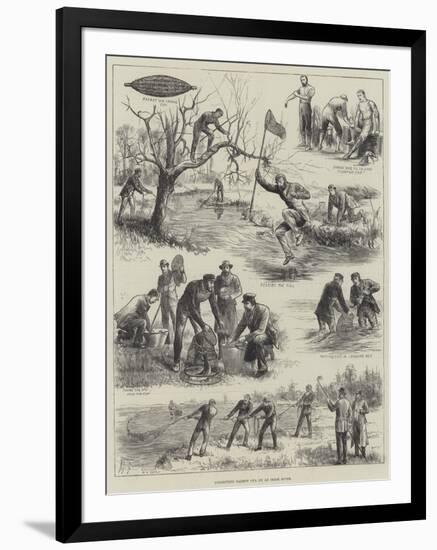 Collecting Salmon Ova on an Irish River-null-Framed Giclee Print