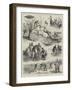 Collecting Salmon Ova on an Irish River-null-Framed Giclee Print