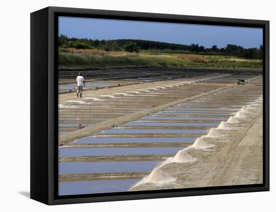 Collecting Salt in Salt Pans, Ars-En-Re, Ile De Re, Charente Maritime, France, Europe-Peter Richardson-Framed Stretched Canvas