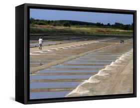 Collecting Salt in Salt Pans, Ars-En-Re, Ile De Re, Charente Maritime, France, Europe-Peter Richardson-Framed Stretched Canvas