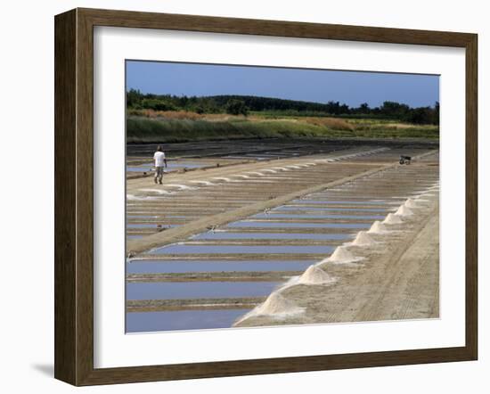 Collecting Salt in Salt Pans, Ars-En-Re, Ile De Re, Charente Maritime, France, Europe-Peter Richardson-Framed Photographic Print