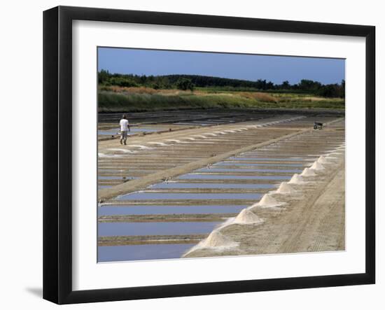 Collecting Salt in Salt Pans, Ars-En-Re, Ile De Re, Charente Maritime, France, Europe-Peter Richardson-Framed Photographic Print