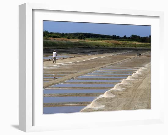 Collecting Salt in Salt Pans, Ars-En-Re, Ile De Re, Charente Maritime, France, Europe-Peter Richardson-Framed Photographic Print