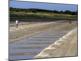 Collecting Salt in Salt Pans, Ars-En-Re, Ile De Re, Charente Maritime, France, Europe-Peter Richardson-Mounted Photographic Print