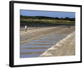 Collecting Salt in Salt Pans, Ars-En-Re, Ile De Re, Charente Maritime, France, Europe-Peter Richardson-Framed Photographic Print