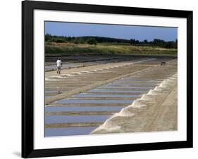 Collecting Salt in Salt Pans, Ars-En-Re, Ile De Re, Charente Maritime, France, Europe-Peter Richardson-Framed Photographic Print