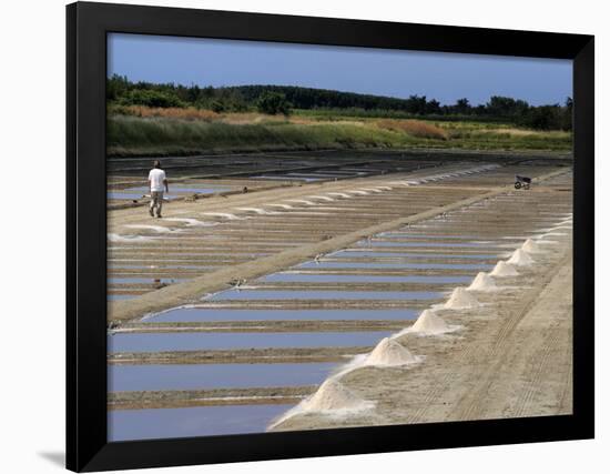 Collecting Salt in Salt Pans, Ars-En-Re, Ile De Re, Charente Maritime, France, Europe-Peter Richardson-Framed Photographic Print