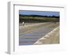 Collecting Salt in Salt Pans, Ars-En-Re, Ile De Re, Charente Maritime, France, Europe-Peter Richardson-Framed Photographic Print