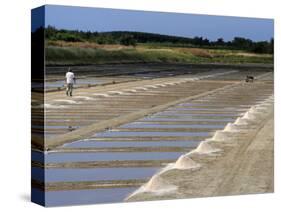 Collecting Salt in Salt Pans, Ars-En-Re, Ile De Re, Charente Maritime, France, Europe-Peter Richardson-Stretched Canvas