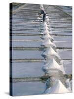 Collecting Salt in the Salt Pans, Fier d'Ars, Ile De Re, Charente Maritime, France-Bruno Barbier-Stretched Canvas