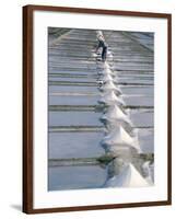 Collecting Salt in the Salt Pans, Fier d'Ars, Ile De Re, Charente Maritime, France-Bruno Barbier-Framed Photographic Print