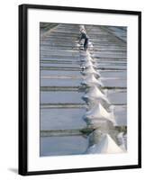 Collecting Salt in the Salt Pans, Fier d'Ars, Ile De Re, Charente Maritime, France-Bruno Barbier-Framed Photographic Print