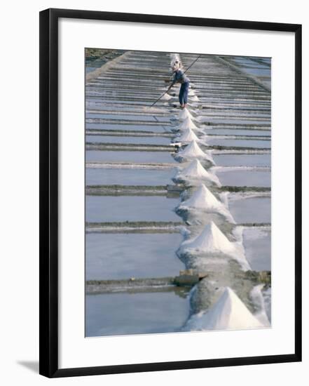 Collecting Salt in the Salt Pans, Fier d'Ars, Ile De Re, Charente Maritime, France-Bruno Barbier-Framed Photographic Print