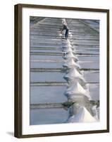 Collecting Salt in the Salt Pans, Fier d'Ars, Ile De Re, Charente Maritime, France-Bruno Barbier-Framed Photographic Print