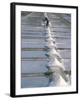 Collecting Salt in the Salt Pans, Fier d'Ars, Ile De Re, Charente Maritime, France-Bruno Barbier-Framed Photographic Print