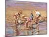 Collecting Shells-Paul Gribble-Mounted Giclee Print