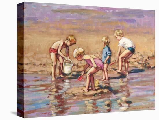 Collecting Shells-Paul Gribble-Stretched Canvas