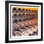 Collection 2-Sheldon Lewis-Framed Art Print