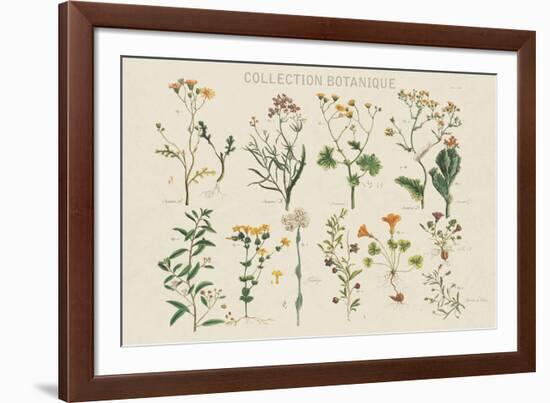 Collection Botanique-Maria Mendez-Framed Giclee Print