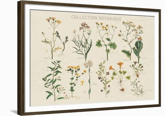 Collection Botanique-Maria Mendez-Framed Giclee Print