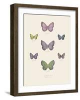 Collection de Papillons II-Maria Mendez-Framed Art Print