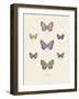 Collection de Papillons II-Maria Mendez-Framed Art Print