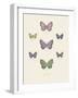 Collection de Papillons II-Maria Mendez-Framed Art Print