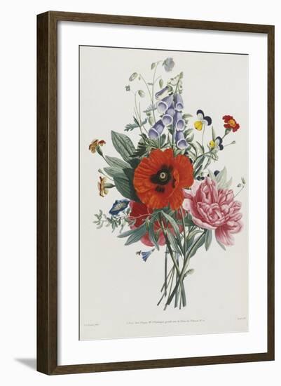 Collection Des Fleurs et Des Fruits, 1805-Jean Louis Prevost-Framed Giclee Print