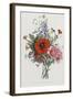 Collection Des Fleurs et Des Fruits, 1805-Jean Louis Prevost-Framed Giclee Print