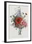 Collection Des Fleurs et Des Fruits, 1805-Jean Louis Prevost-Framed Giclee Print