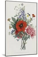 Collection Des Fleurs et Des Fruits, 1805-Jean Louis Prevost-Mounted Giclee Print