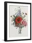 Collection Des Fleurs et Des Fruits, 1805-Jean Louis Prevost-Framed Premium Giclee Print