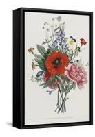 Collection Des Fleurs et Des Fruits, 1805-Jean Louis Prevost-Framed Stretched Canvas